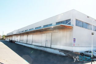 烟台仓储服务 经验丰富物流专家，助力高效安全货物存储